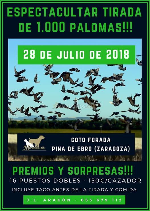 cotos de caza en pina de ebro (zaragoza)