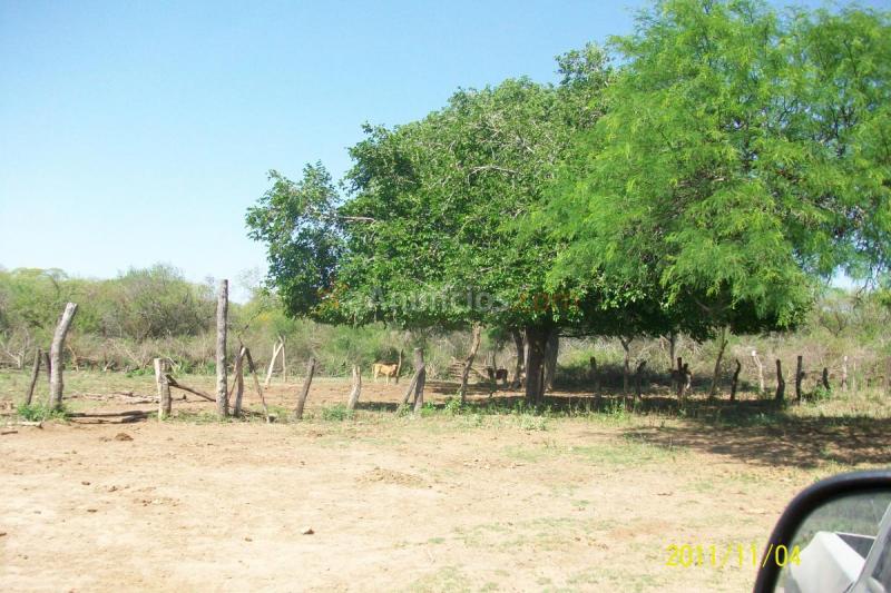 Vendo campo en Argentina 8700ha