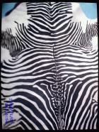 Alfombras de cebra de piel autentica