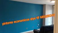 pintores economicos en alcorcon 689289243 alye