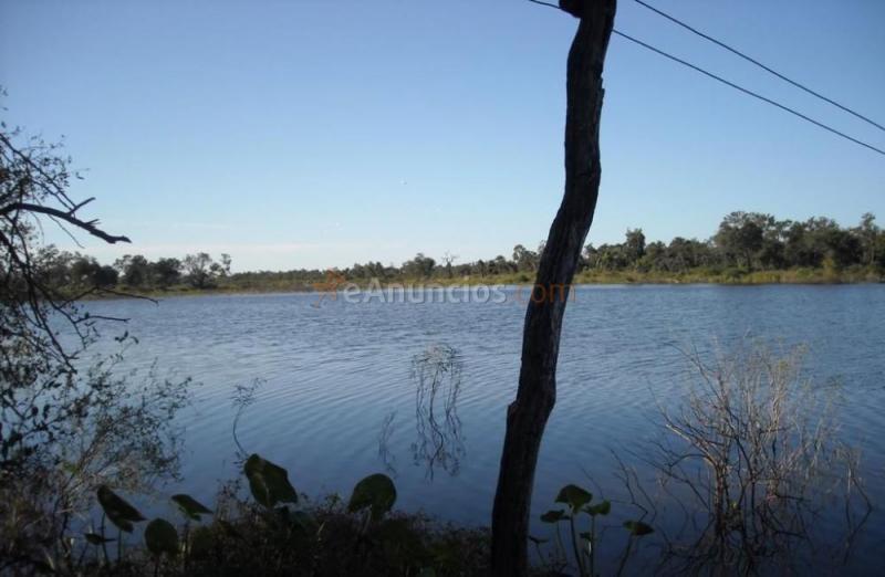 Finca en venta la susana.