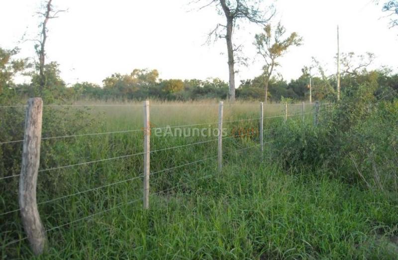 Finca en venta la susana.
