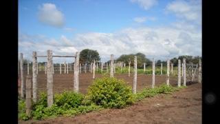 Estancia el porvenir en venta.