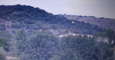 se vende coto de caza