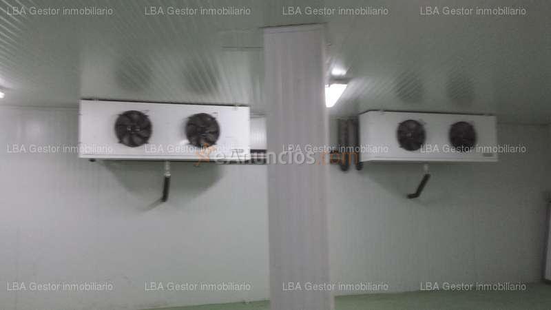 NAVE INDUSTRIAL EN ESQUINA CON CÁMARAS DE CONGELACIÓN DENTRO DE LA TRAMA URBANA