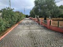 Venta de Finca  con un total de construcciones de 925 m2 y 9.050 m2  de terreno en Alcalá de Guadaira