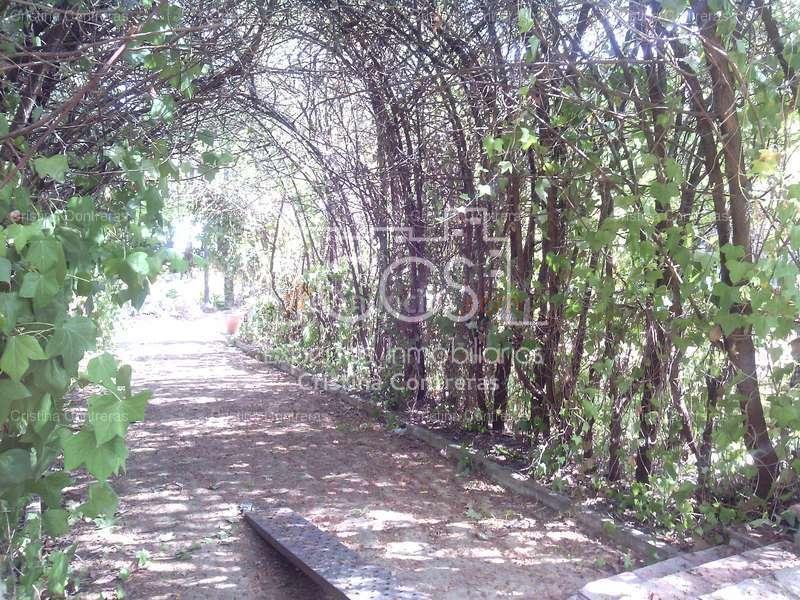 Venta de Casa chalet de 2.600 m2 de parcela y 150 m2 construidos en Espartinas.