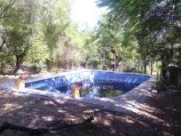 Venta de Casa chalet de 2.600 m2 de parcela y 150 m2 construidos en Espartinas.