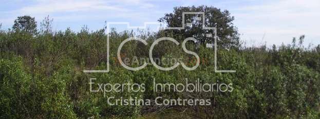 Venta de Finca de 1.587 ha en Cabezas Rubias (Huelva)