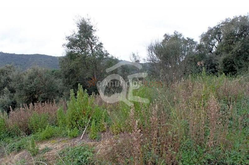 Parcela Rustica en venta en Calle Isabel Vila, Mas Pere-Río de Oro, Calonge