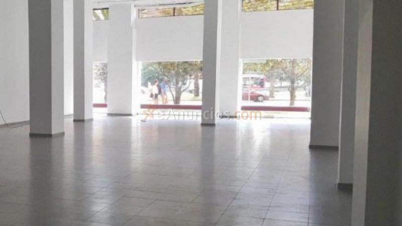 Local Comercial en alquiler en Avenida de catalunya, Benimaclet, Valncia