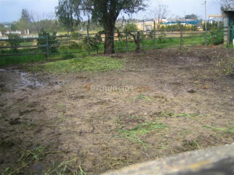 Casa Rural en venta en  Olivares