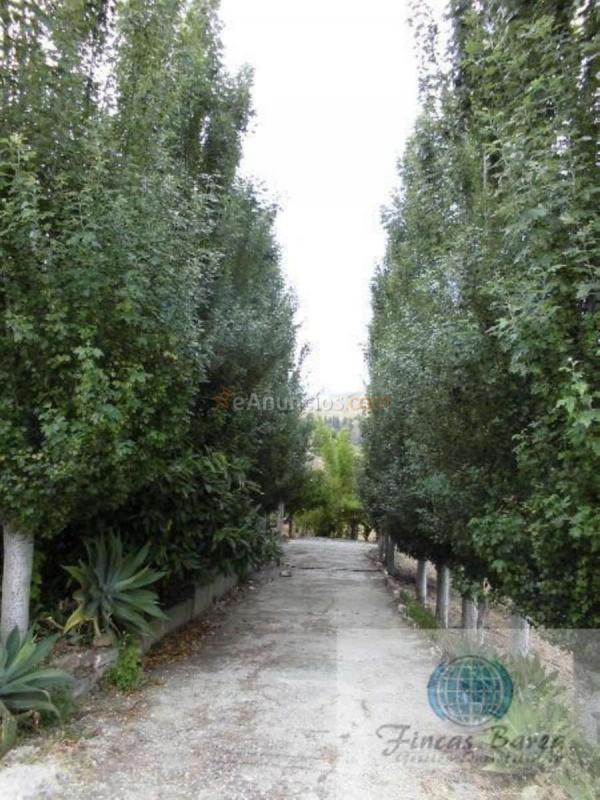 Casa Rural en venta en  Coin