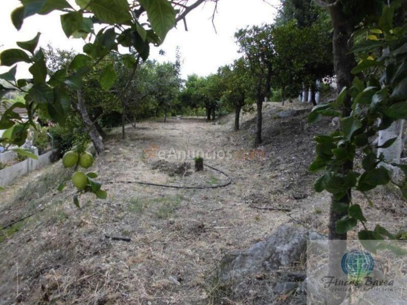 Casa Rural en venta en  Coin