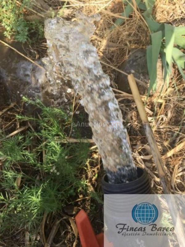 Parcela Rustica en venta en  Mijas Golf, Mijas