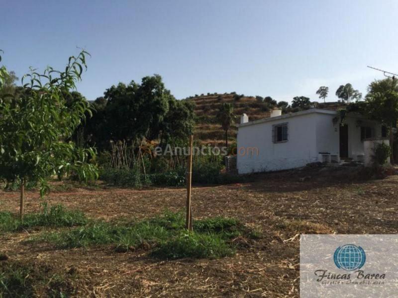 Parcela Rustica en venta en  Mijas Golf, Mijas