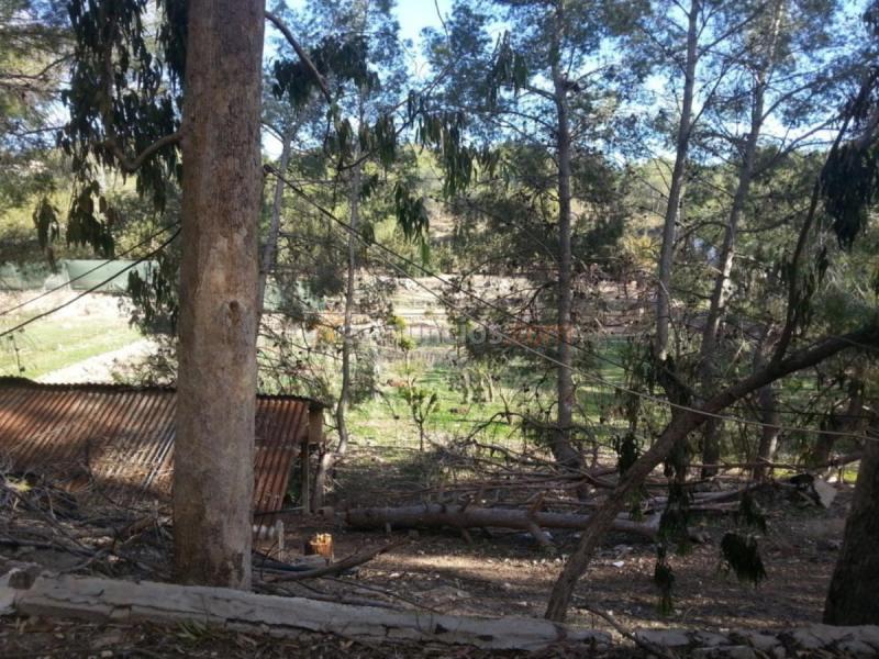 Casa Rural en venta en Carril paloma de la paz, Pinar de Campoverde, Pilar de la Horadada