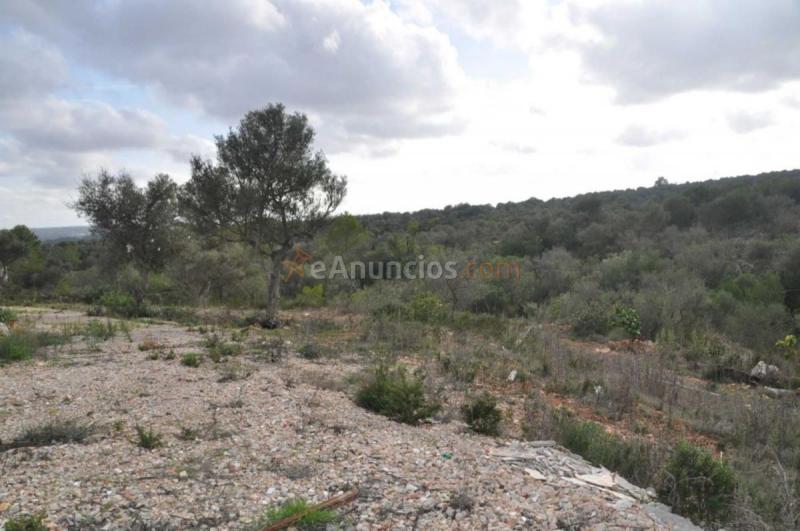Parcela Rustica en venta en  Son Ferriol - Sant Jordi, Palma de Mallorca
