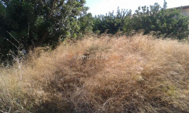 Parcela Rustica en venta en  San Antonio de Benagéber