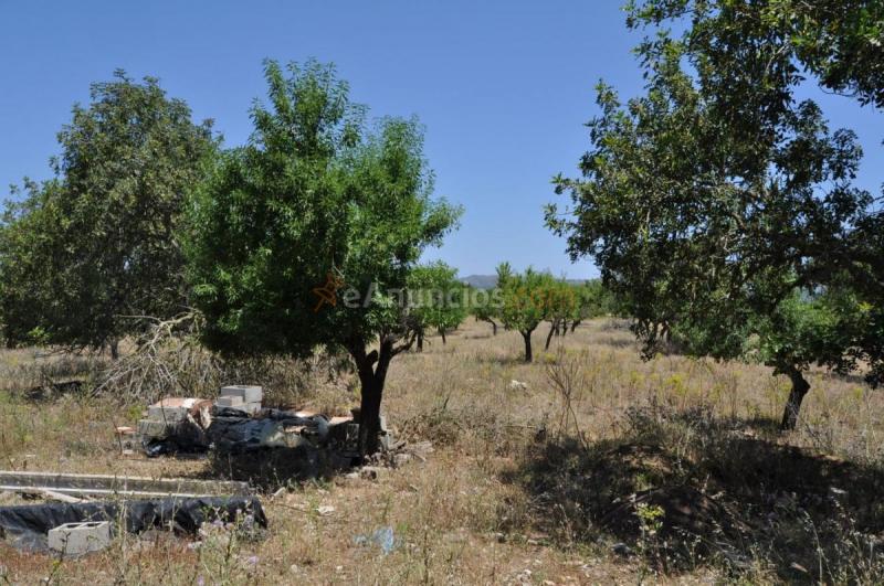 Casa Rural en venta en  Arta