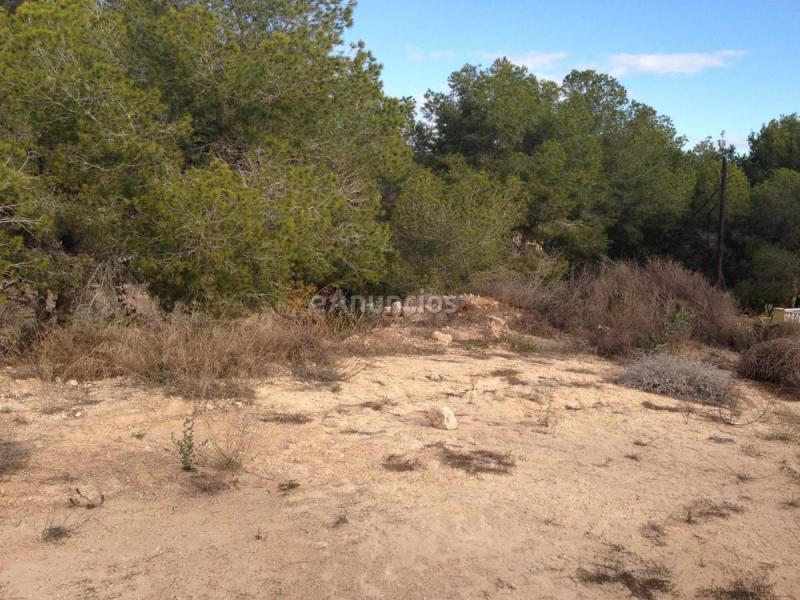 Parcela Rustica en venta en  Calle de los Pirineos, Orihuela Costa, Orihuela