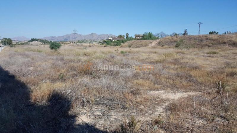 Parcela Rustica en venta en Camino del Almendro, Fortuna