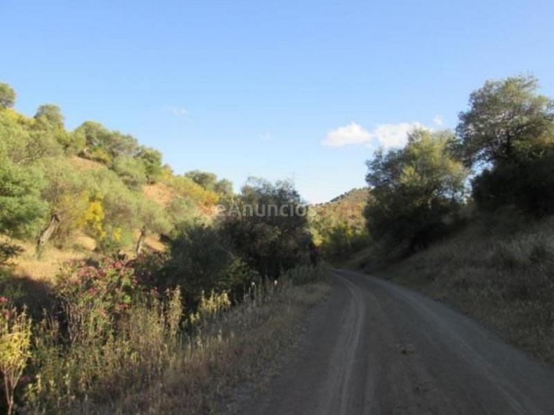 Parcela Rustica en venta en  PAGO LA FISCALIA, Alora