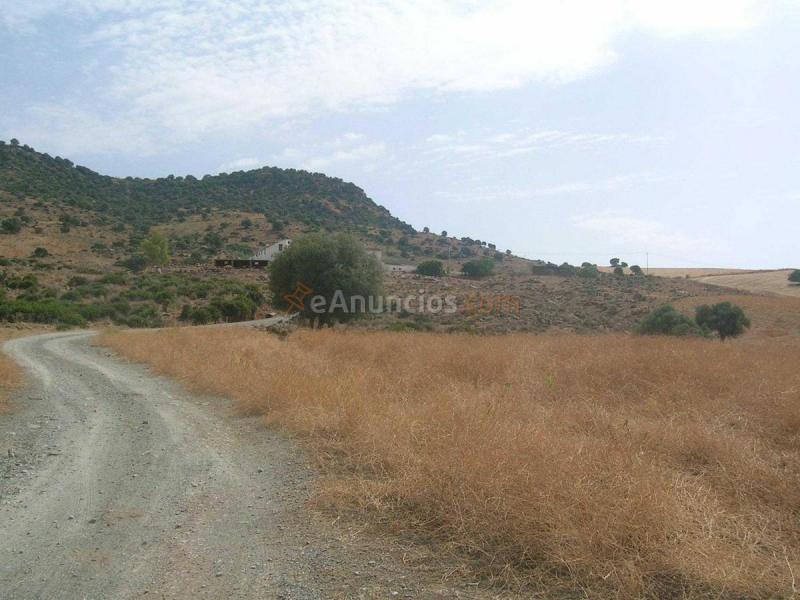 Parcela Rustica en venta en  PAGO LA FISCALIA, Alora