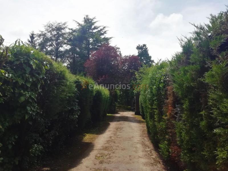 Adosado en venta en  Llanera