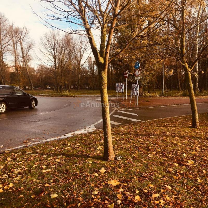 Parcela Rustica en venta en Paseo de la quinta, Zona sur - B Cortes, Burgos