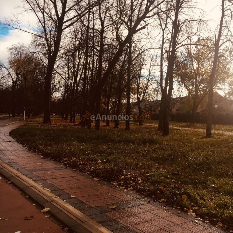 Parcela Rustica en venta en Paseo de la quinta, Zona sur - B Cortes, Burgos