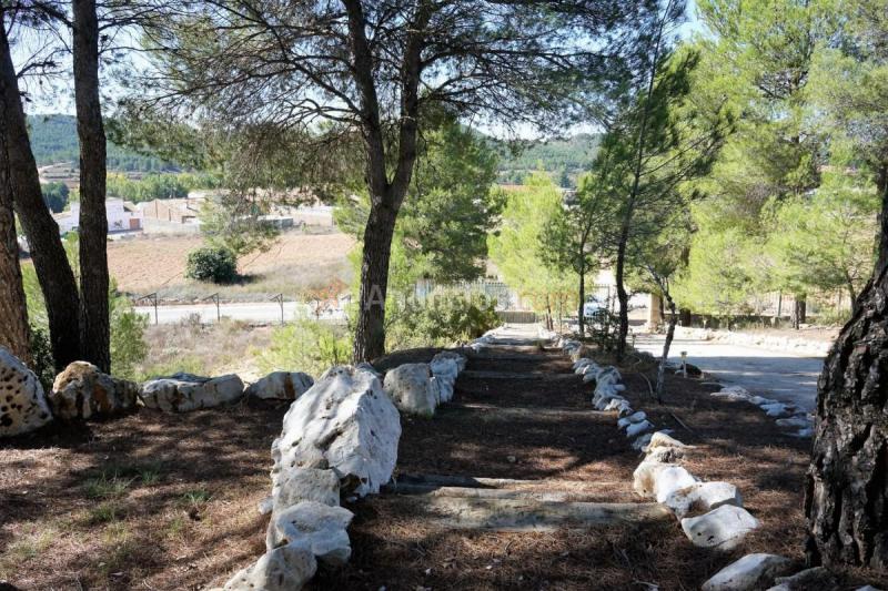 Casa Rural en venta en Carretera Penen, Requena