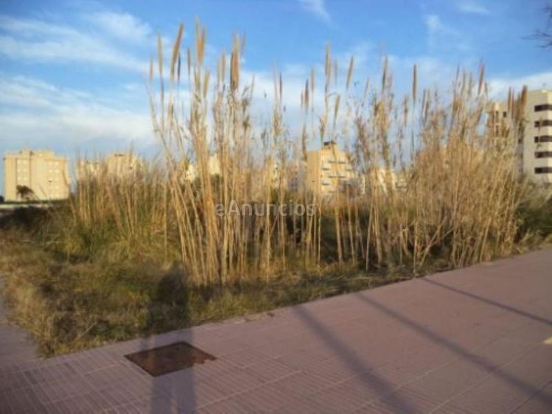 Parcela Rustica en venta en  Piles