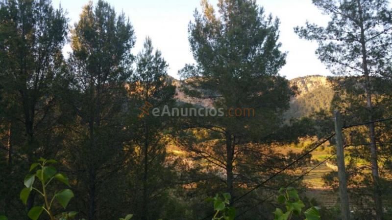 Parcela Rustica en venta en  Puigpunyent