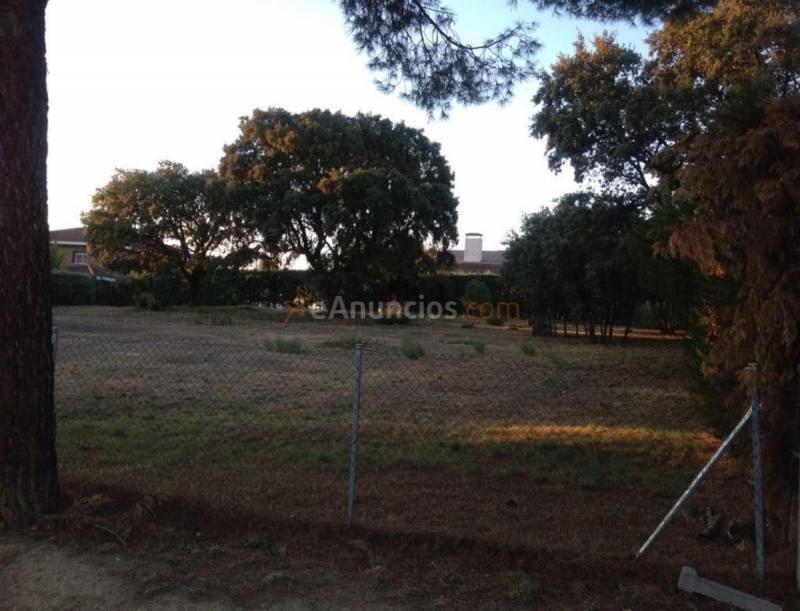 Parcela Rustica en venta en  El Bosque, Villaviciosa de Odón