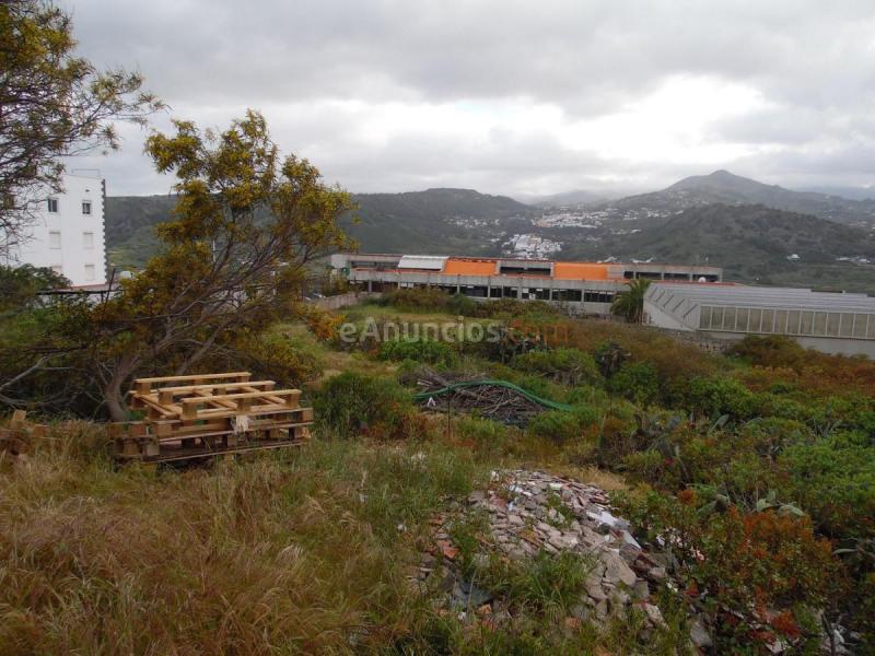 Parcela Rustica en venta en  El Pedregal, Arucas Casco, Arucas