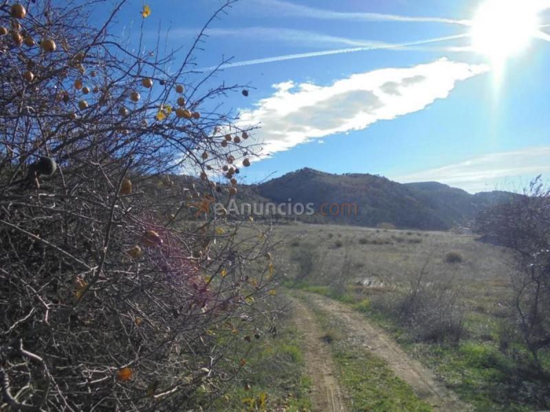 Casa Rural en venta en  Camino Algarrobo - Las Arenas, Vélez-Malaga