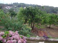 Adosado en venta en  Lomo Negro, Moya