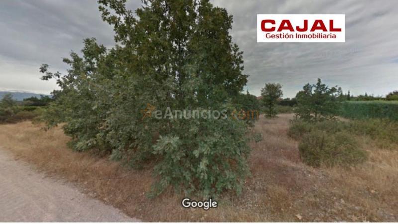 Parcela Rustica en venta en Camino del Castaño, Fresno de Cantespino