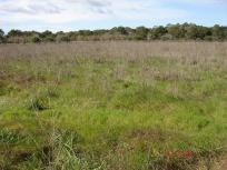 Casa Rural en venta en  Llucmajor Interior, Llucmajor