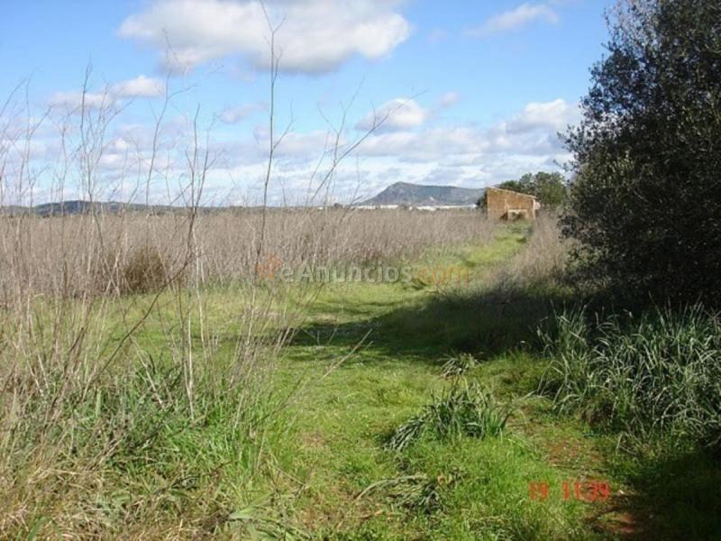 Casa Rural en venta en  Llucmajor Interior, Llucmajor