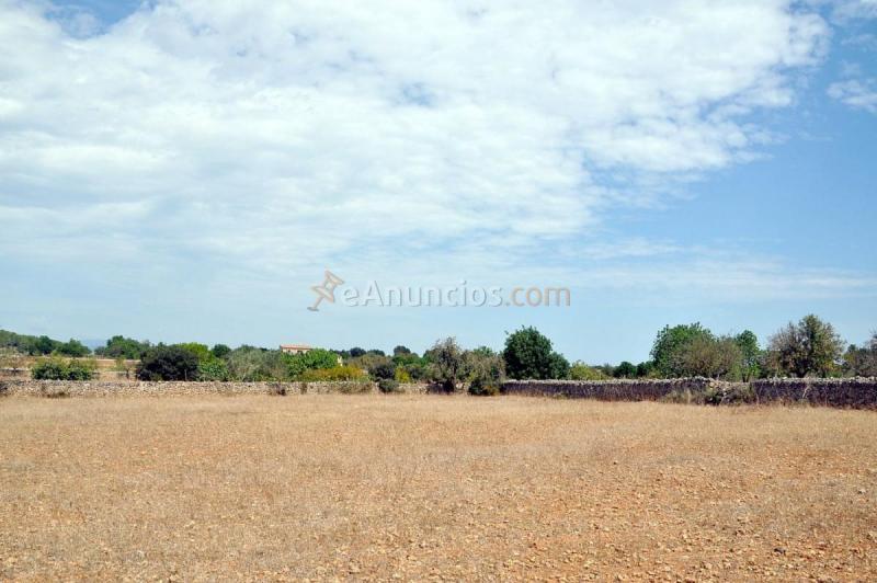 Casa Rural en venta en  Santa Margalida, Santa Margalida
