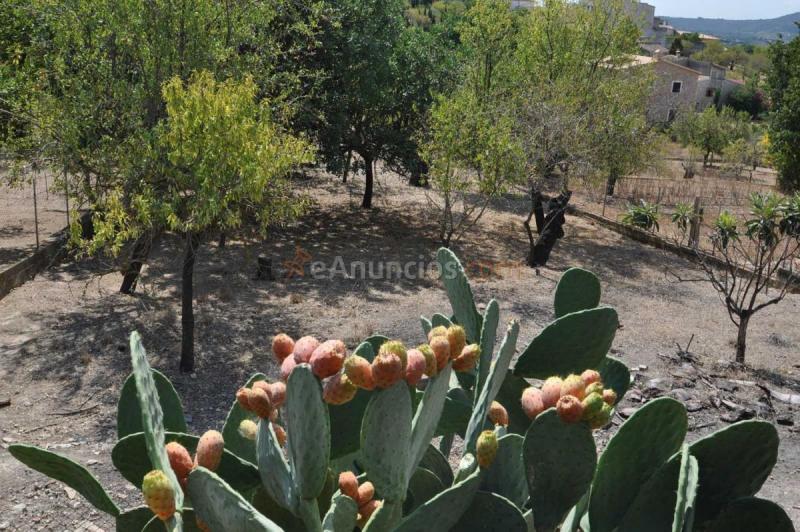 Casa Rural en venta en  Campanet