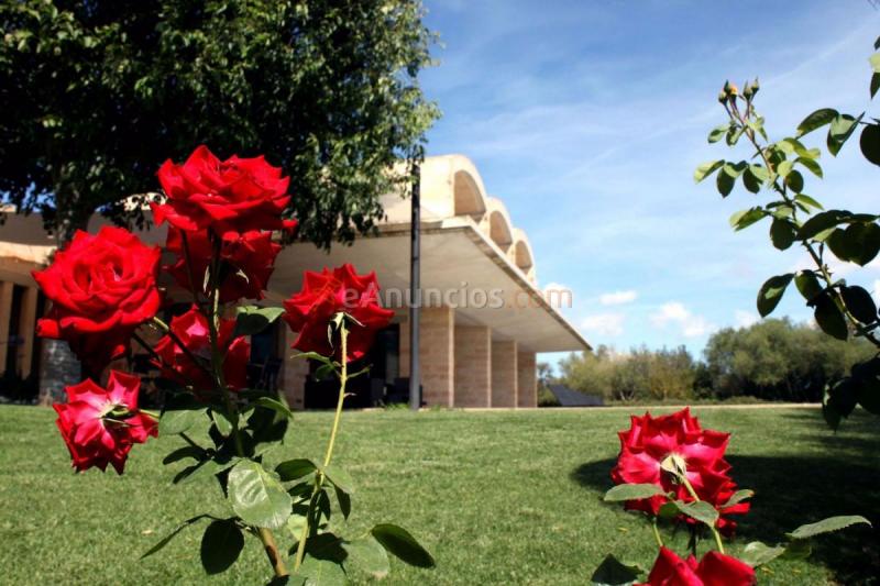 Casa Rural en venta en  Felanitx centro, Felanitx