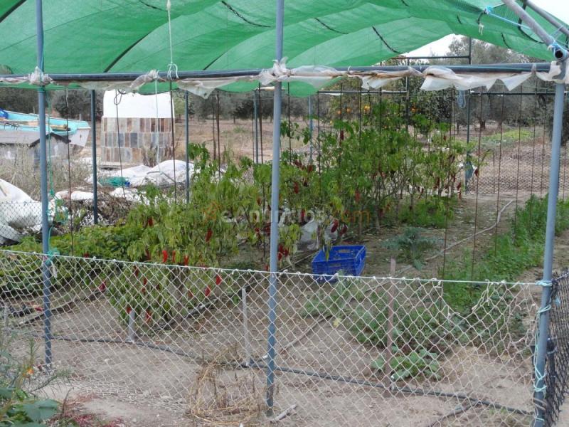 Casa Rural en venta en  37.351853, -6.991682, Gibraleon