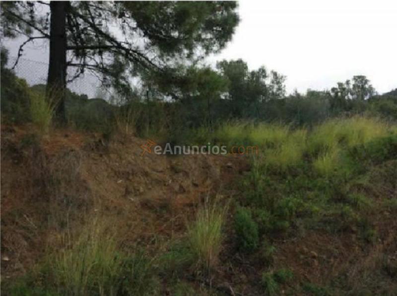 Parcela Rustica en venta en Alto montemayor, Montemayor-Marbella Club, Benahavís