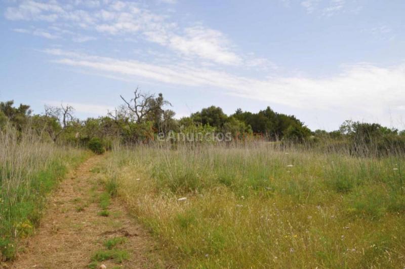 Casa Rural en venta en  Capdepera