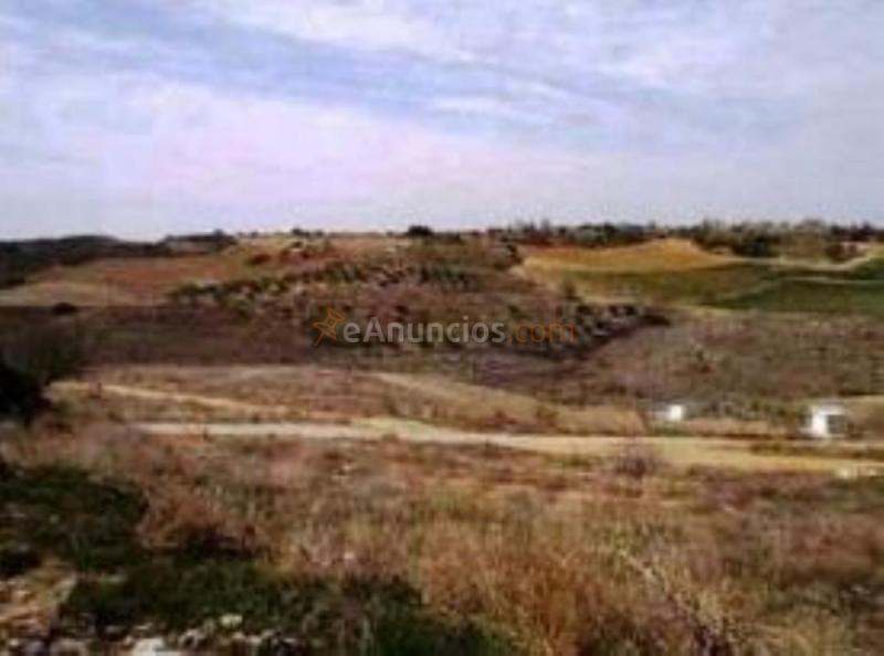 Parcela Rustica en venta en  Calle Alcala, Corpa