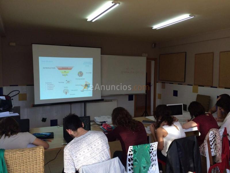 Local Comercial en alquiler en  El Carme-Sant Agustí-Bonavista, L'Eliana