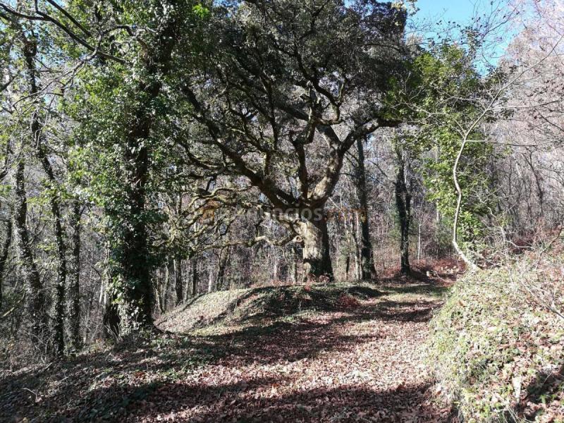 Casa Rural en venta en  Busto, A Baña